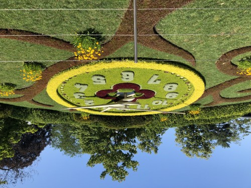 Last Minute - 普罗旺斯薰衣草六日之旅