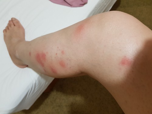 迷失在巴尔干半岛9日游