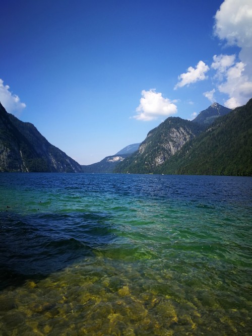 一国深度 深“德”我心