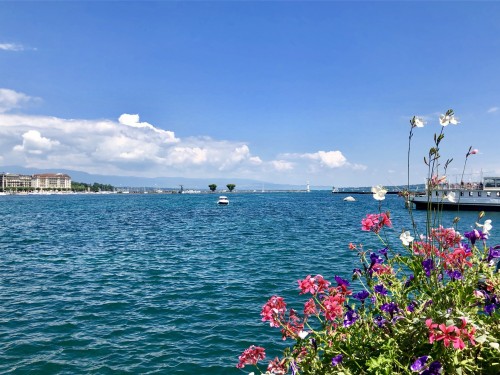 Last Minute - 普罗旺斯薰衣草六日之旅