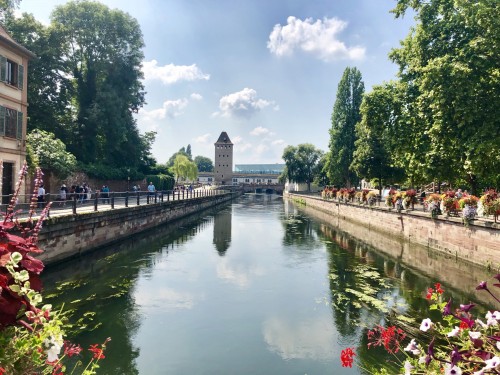 Last Minute - 普罗旺斯薰衣草六日之旅