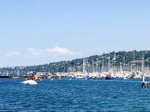 Last Minute - 普罗旺斯薰衣草六日之旅