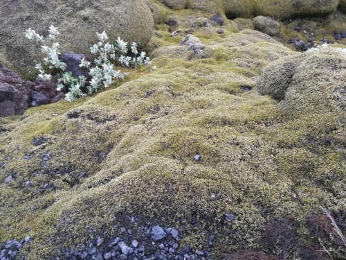 冰与火之歌，冰岛六日五晚深度游