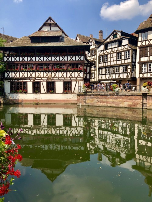 Last Minute - 普罗旺斯薰衣草六日之旅