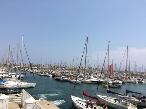 巴塞南法循环线