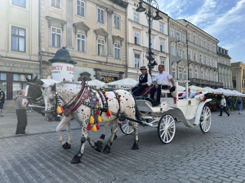 【波兰首都】3天2夜 华沙周末精彩游（酒店+火车票套餐）