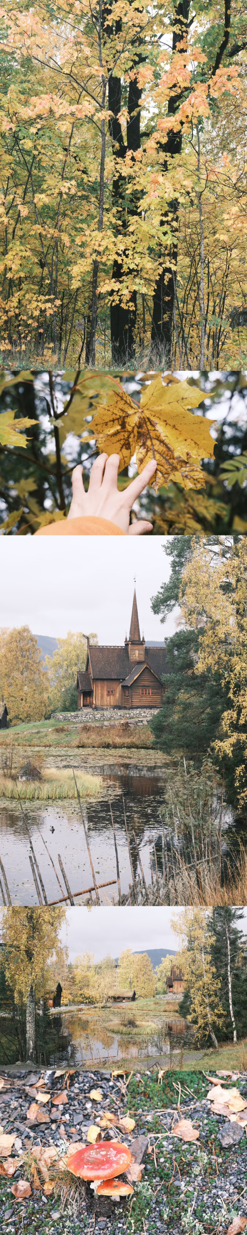 【优品甄选】不可错过的北欧挪威峡湾精华7日游（奥斯陆往返）