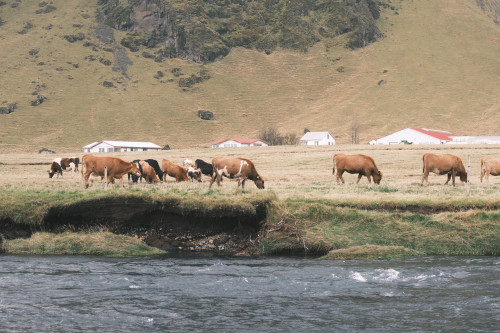 【优品甄选】冰与火之歌，冰岛六日五晚深度游