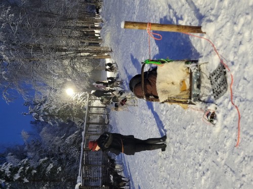 4日纵贯拉普兰极光之旅•圣诞老人村|帝王蟹之旅|狗拉雪橇|雪地摩托追极光•赠送驯鹿农场