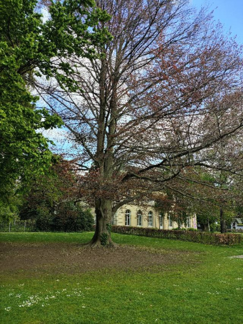 <秘境漫游>米兰文艺复兴•普罗旺斯•瑞士雪山｜瑞士南法蔚蓝海岸6日之旅