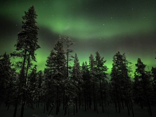 7日纵贯拉普兰极光破冰之旅•芬兰圣诞老人村|破冰船|帝王蟹之旅|狗拉雪橇|雪地摩托追极光|极地VR列