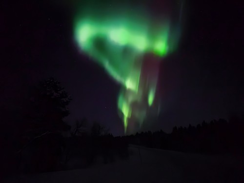 7日纵贯拉普兰极光破冰之旅•芬兰圣诞老人村|破冰船|帝王蟹之旅|狗拉雪橇|雪地摩托追极光|极地VR列