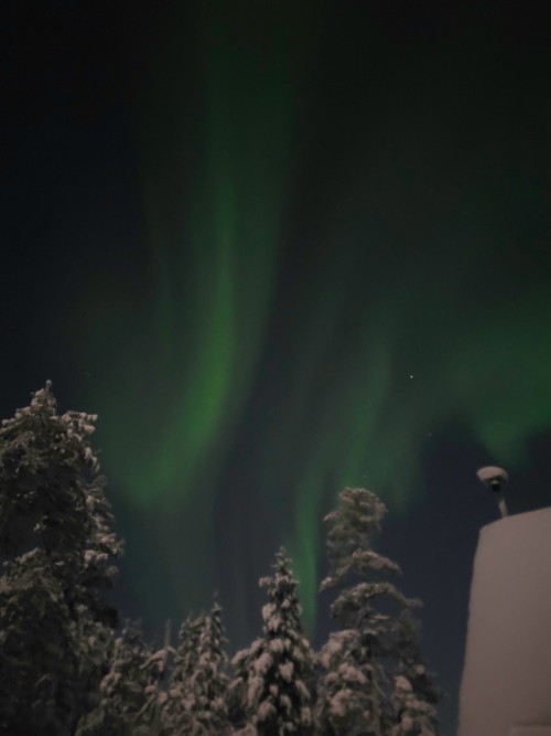 7日纵贯拉普兰极光破冰之旅•芬兰圣诞老人村|破冰船|帝王蟹之旅|狗拉雪橇|雪地摩托追极光|极地VR列