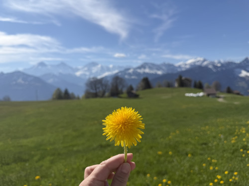 【经典热卖】爱的迫降同款•湖光山色瑞士四天精选