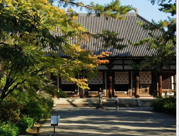 日本森之京都5日之旅(大阪往返)