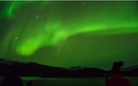 宏迪斯号（Hondius）– 北极三岛（斯瓦尔巴群岛-格陵兰岛-冰岛）（14天13晚）