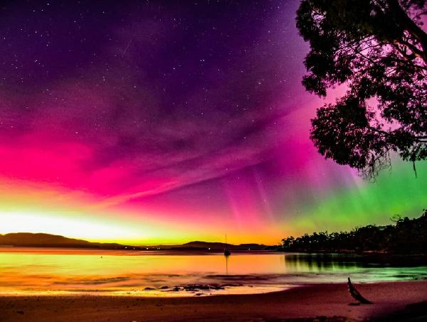 澳大利亚塔斯马尼亚追光5日游（可选4日）