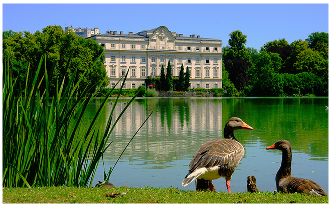 萨尔茨堡 观光巴士