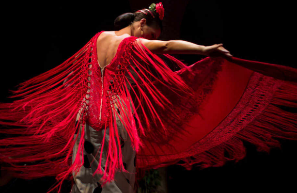 塞维利亚激情之夜(游览+弗拉门戈表演+特色小吃) 