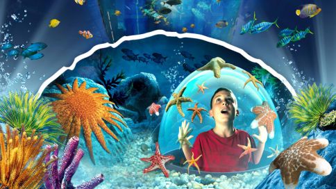 Aqua Dome及Sea Life柏林水族馆门票