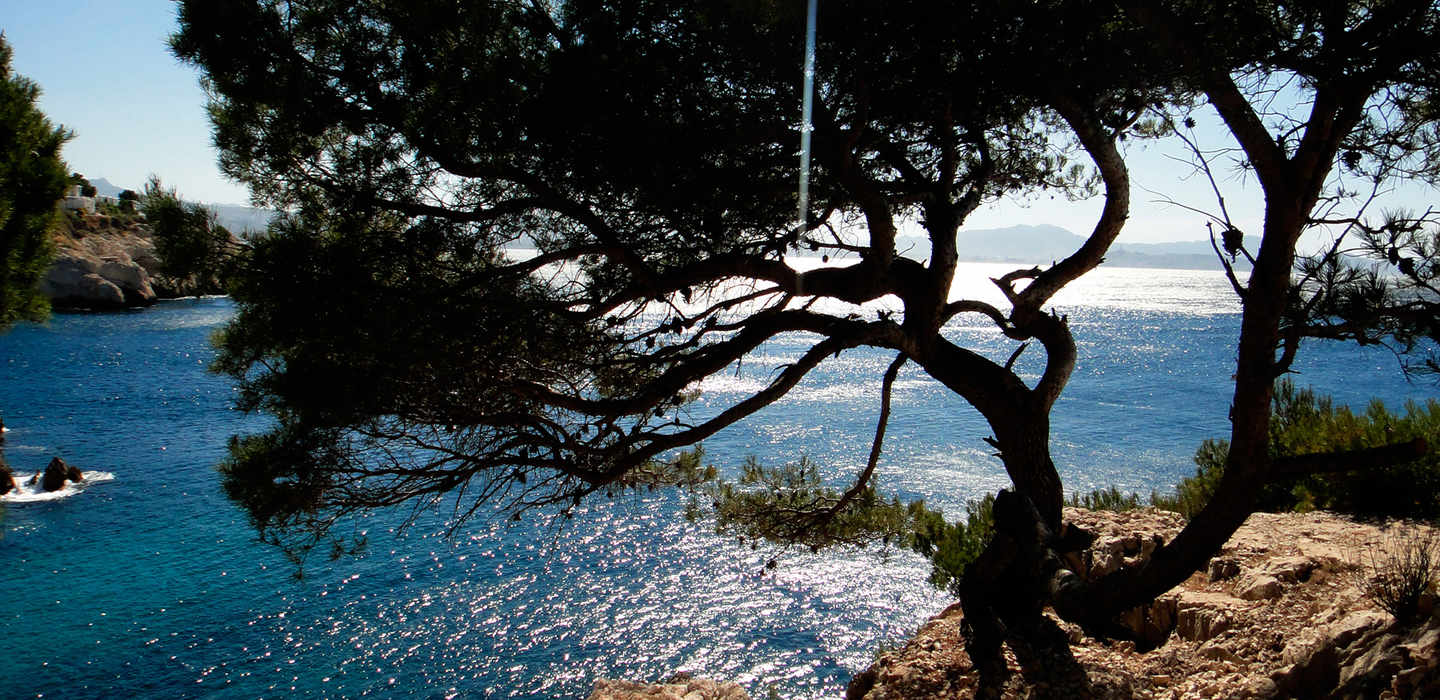 法国马赛卡西斯半日游（马赛出发）