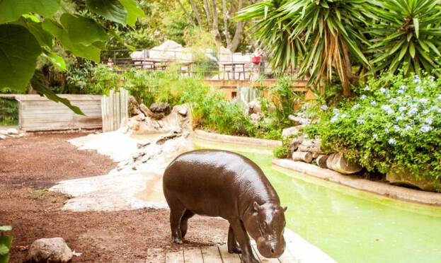 巴塞罗那动物园