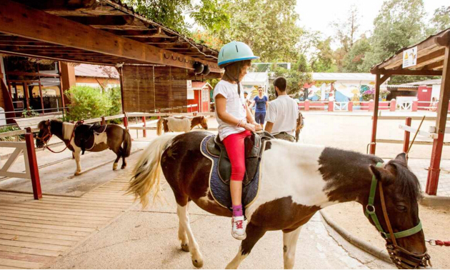 巴塞罗那动物园