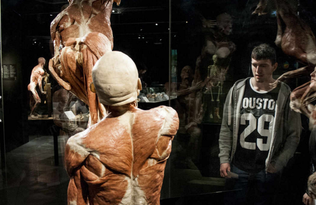 阿姆斯特丹人体世界展览门票 (免排队)