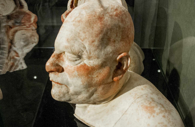 阿姆斯特丹人体世界展览门票 (免排队)