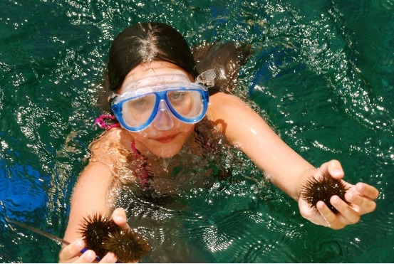 巴勒莫航海探险
