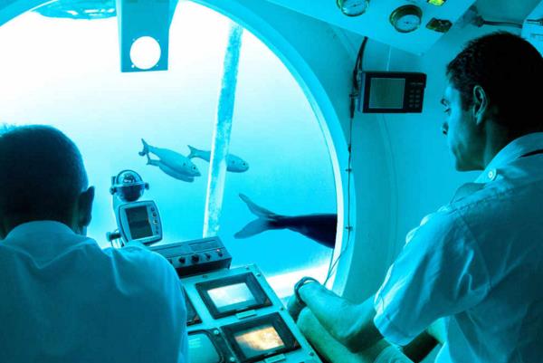 特内里费岛水底探险