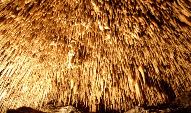 德劳奇的洞穴和马洛卡的东部一日游