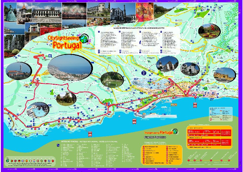 丰沙尔观光巴士