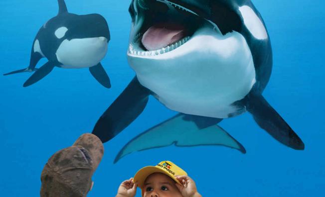 特内里费岛Loro水族博物馆