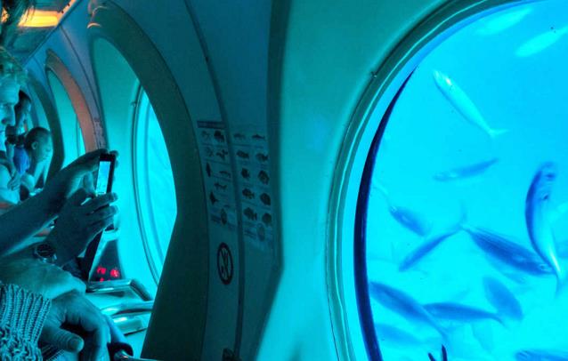 特内里费岛水底探险