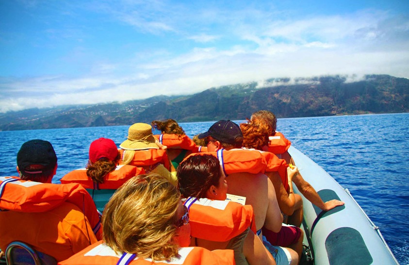 2.5小时的鲸鱼和海豚出海游