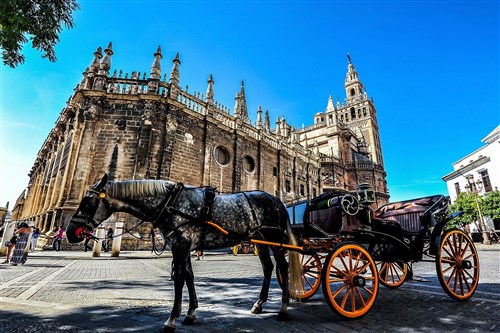 塞维利亚机场(SVQ)- 塞维利亚市区（英文接送机）