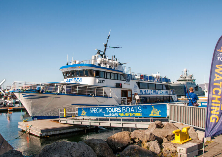 【观赏鲸鱼】冰岛雷克雅未克观鲸之旅