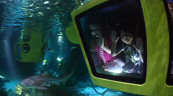 温莎乐高乐园欢乐游