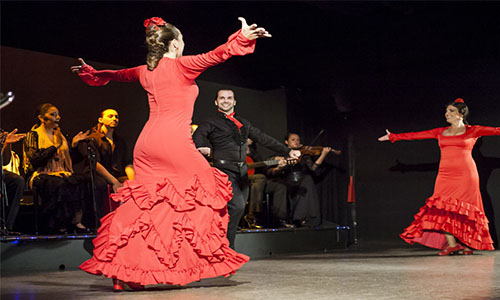 巴塞罗那 - 弗拉明戈表演