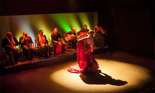 巴塞罗那 - 弗拉明戈表演