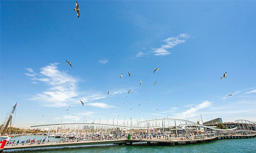 哥隆德利纳号游轮 