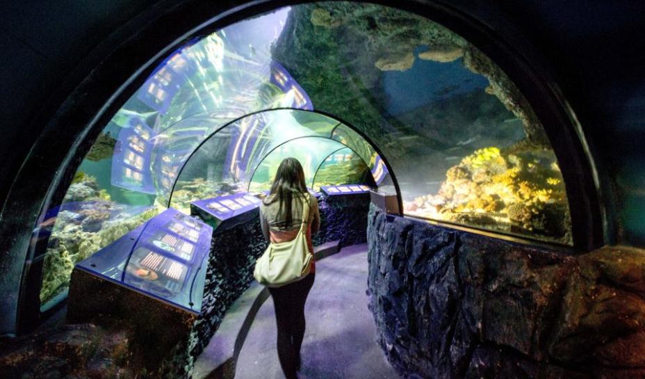 慕尼黑海洋生命水族馆门票（免排队）