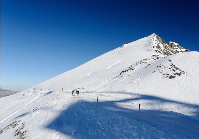 铁力士雪山观光游（苏黎世往返）