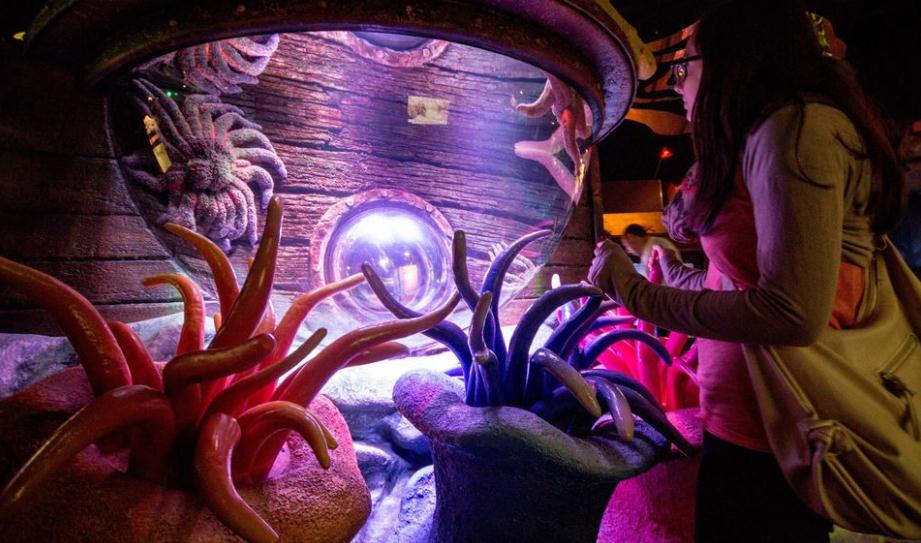 慕尼黑海洋生命水族馆门票（免排队）