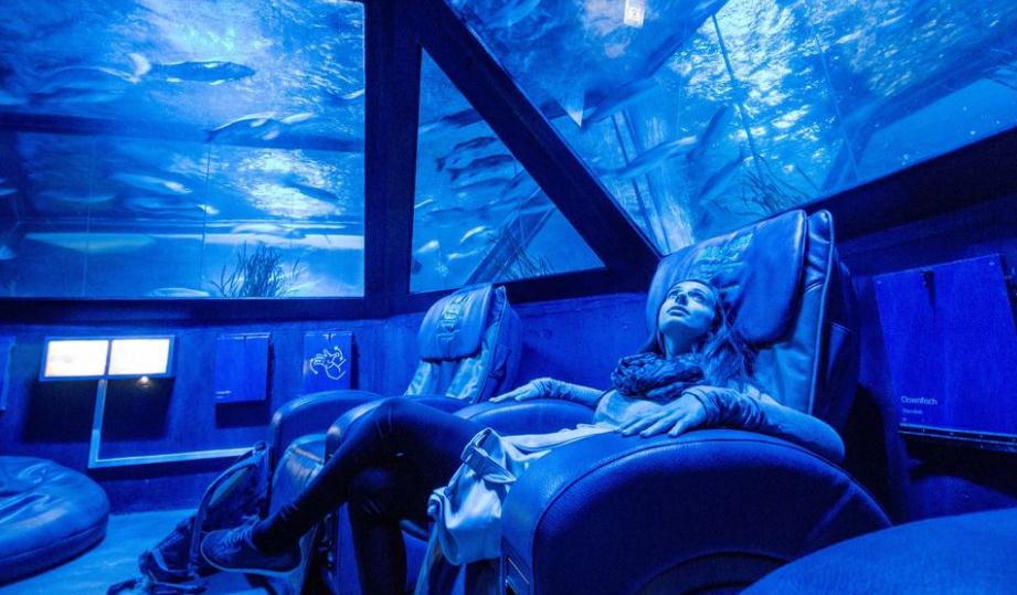 慕尼黑海洋生命水族馆门票（免排队）