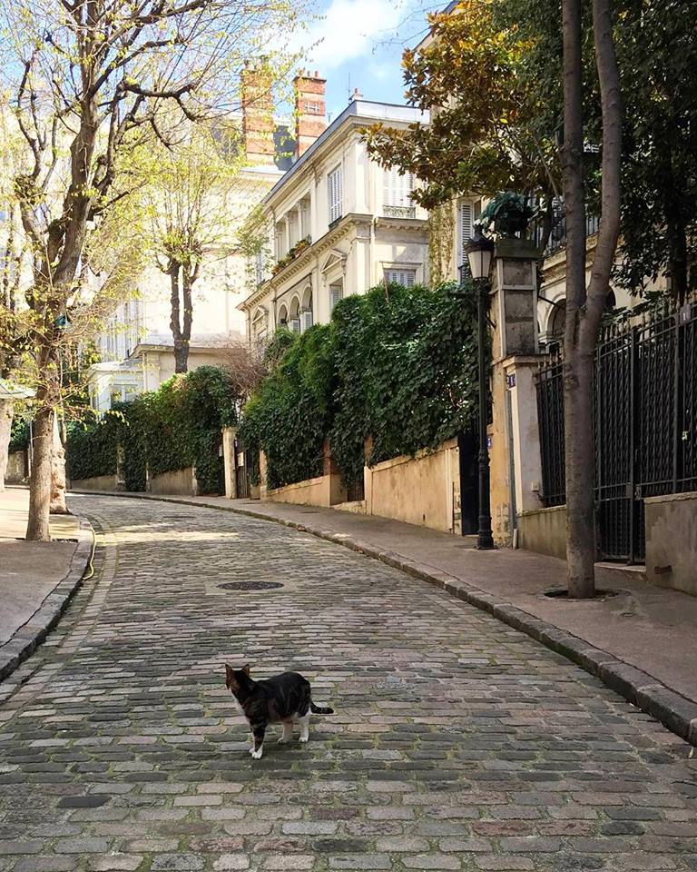 巴黎City Walk（2人起订）