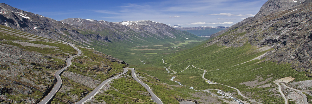 挪威森林图片-挪威市郊森林风景图片大全-【挪威摄影攻略】