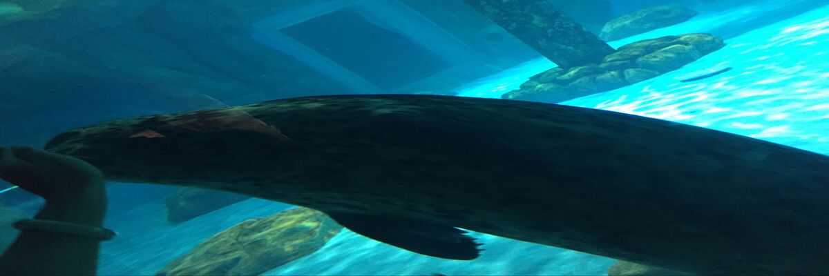 利斯特维扬卡小镇一日游线路推荐-【俄罗斯穷游攻略】