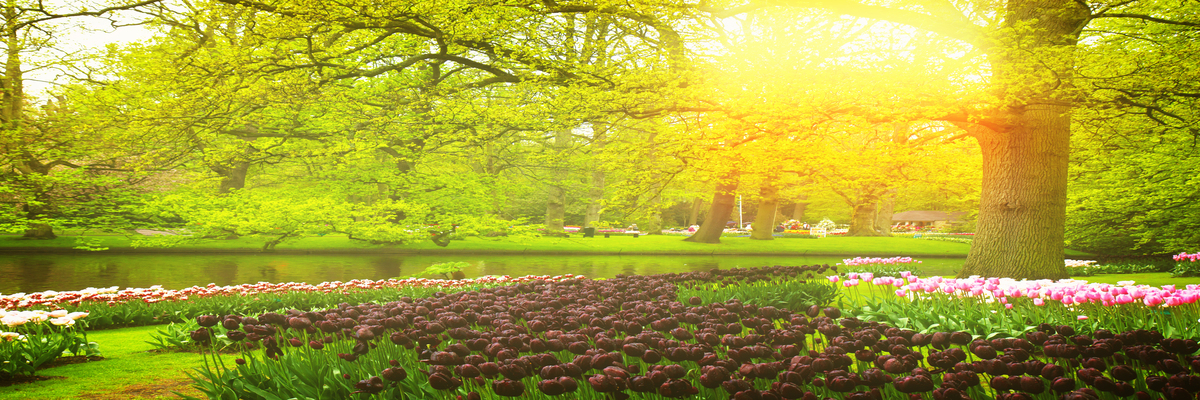 画家手下的荷兰库肯霍夫公园竟然这么美!库肯霍夫公园图片欣赏-【荷兰摄影攻略】